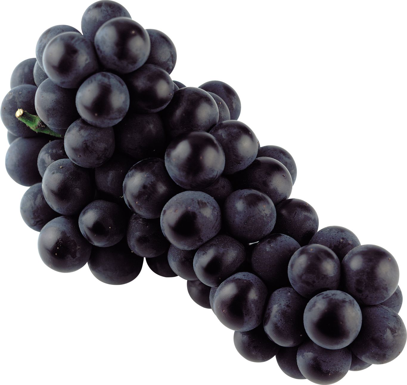 Black grape PNG image    图片编号:2959