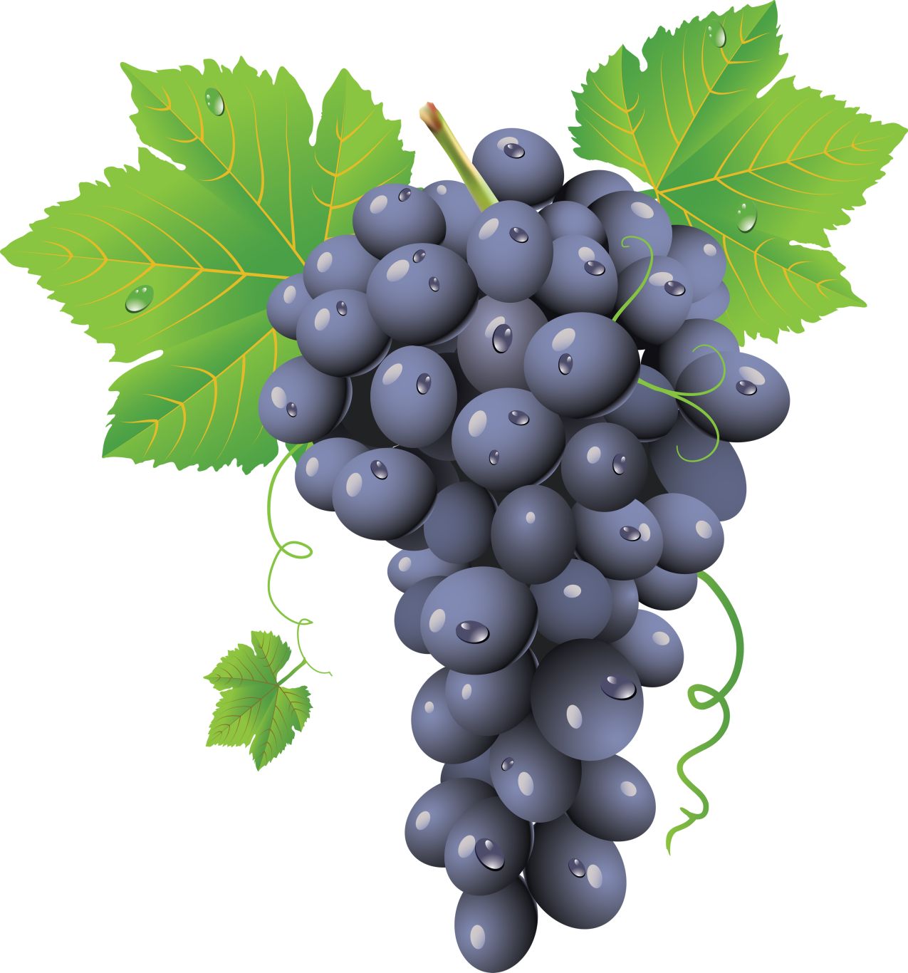 Grape PNG image    图片编号:2960