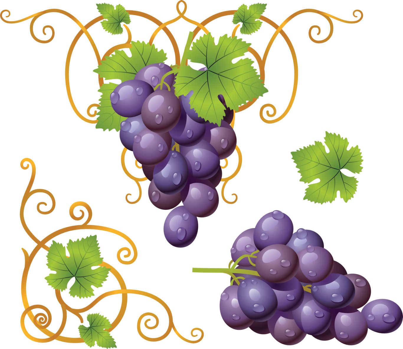Grape PNG image    图片编号:2961