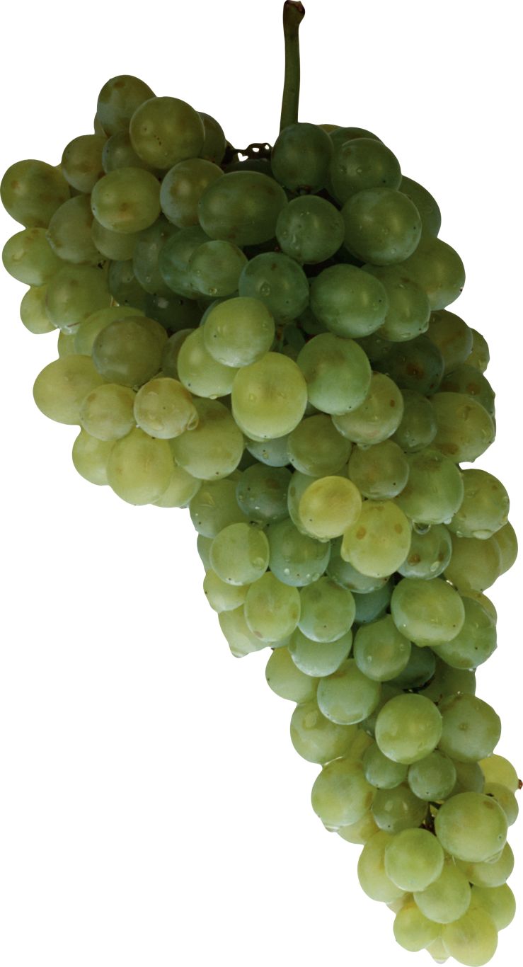 Green grape PNG image    图片编号:2962
