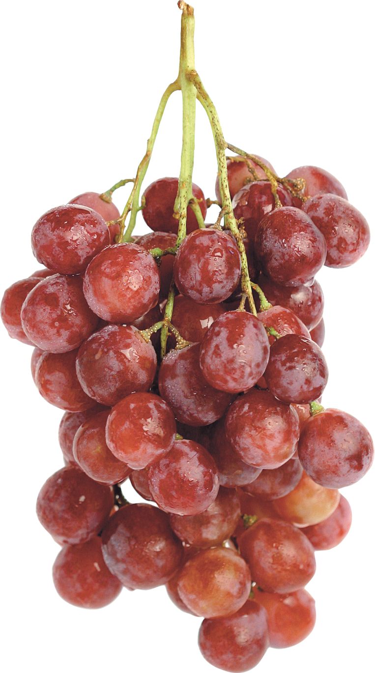 Red grape PNG image    图片编号:2964