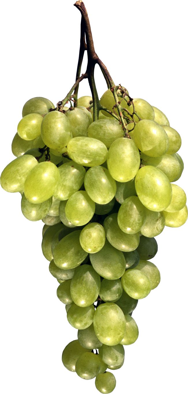 Green grape PNG image    图片编号:2969