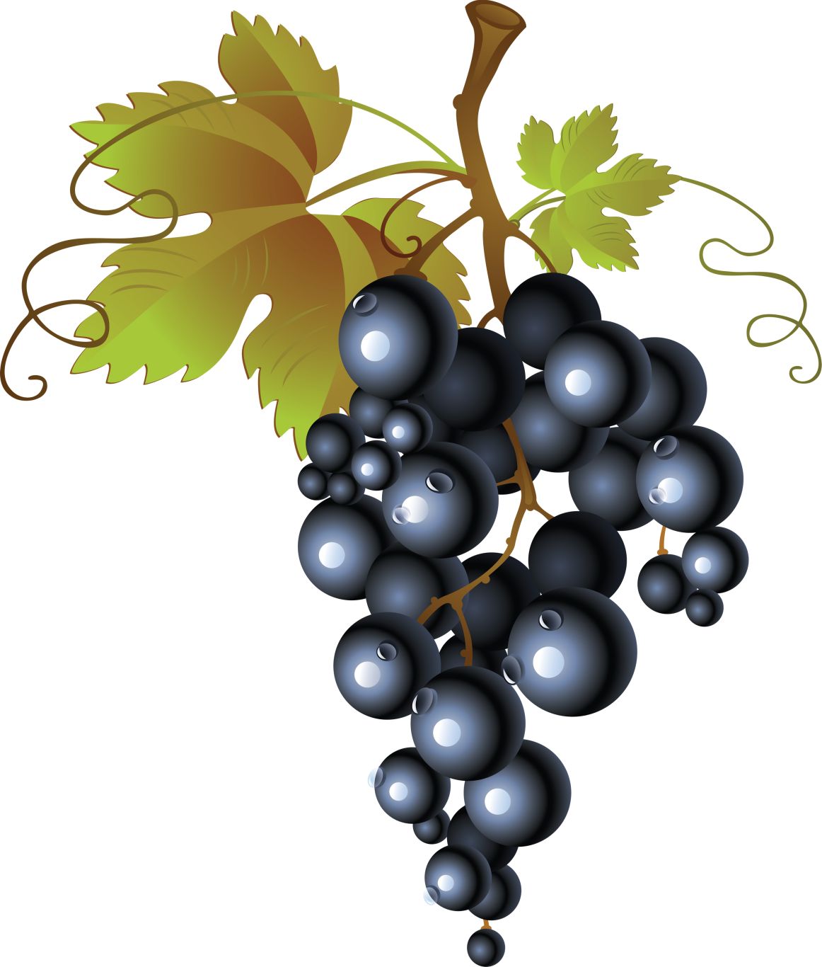 Grape PNG image    图片编号:2970