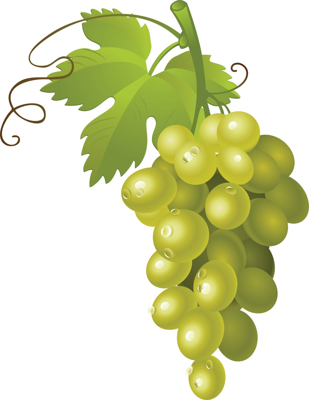 Grape PNG image    图片编号:2971