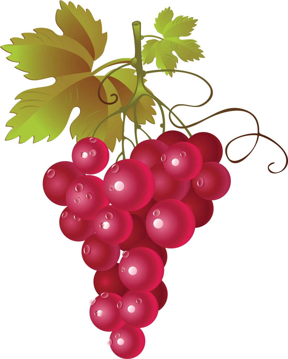 Grape PNG image    图片编号:2972