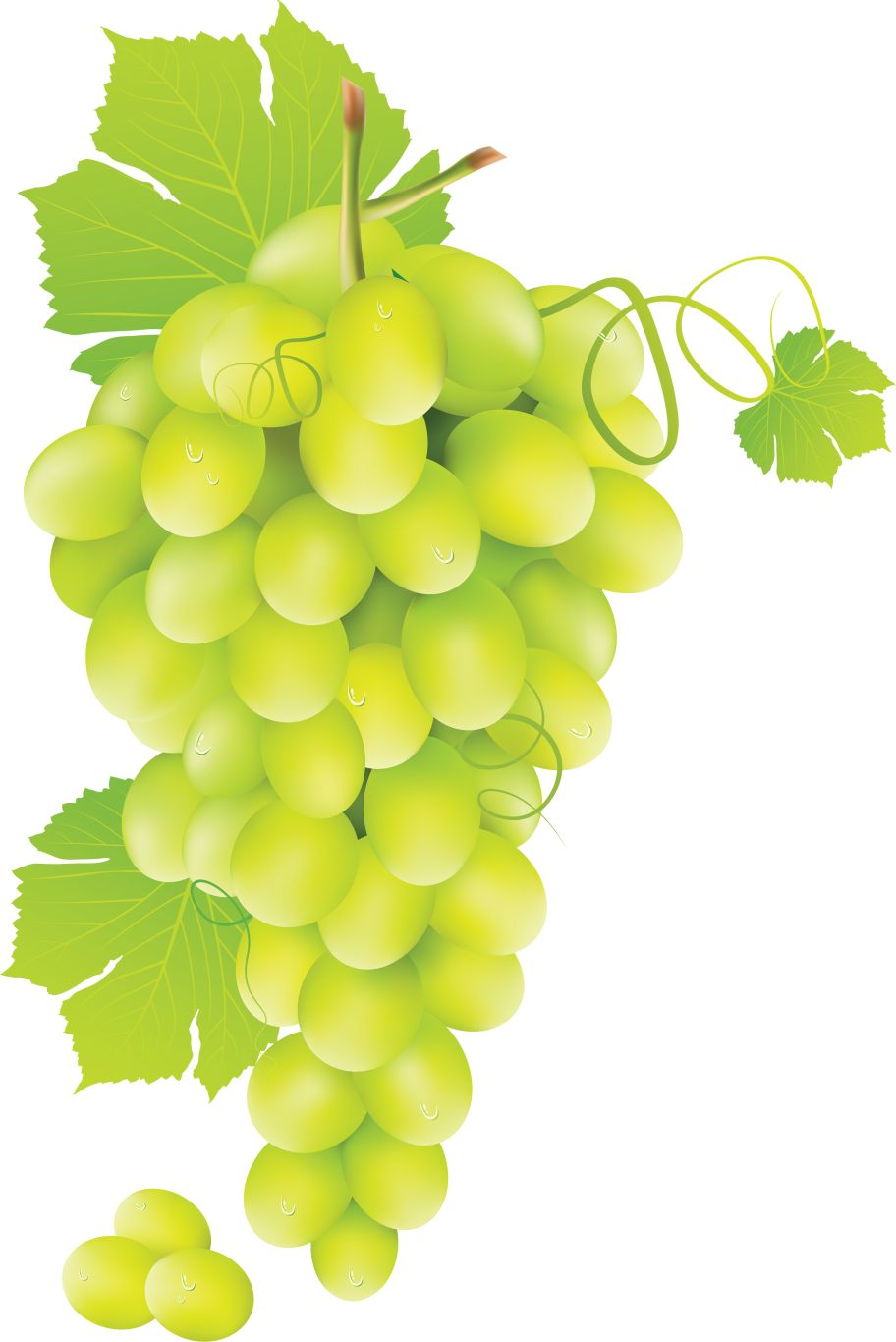 Green grape PNG image    图片编号:2973