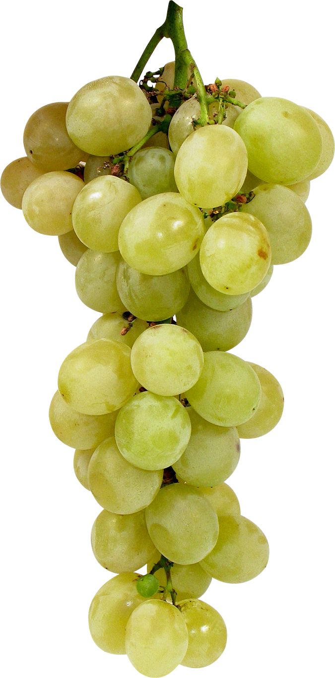 Green grape PNG image    图片编号:2974