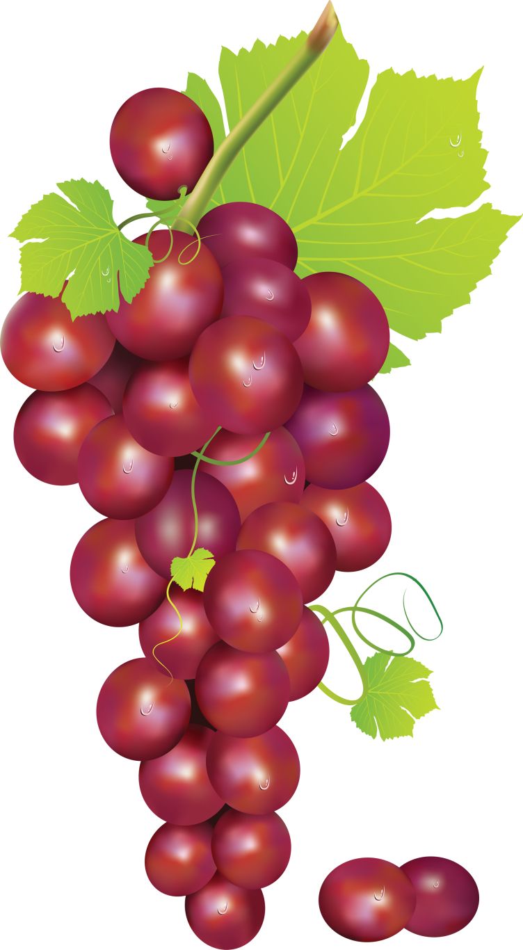 Grape PNG image    图片编号:2975