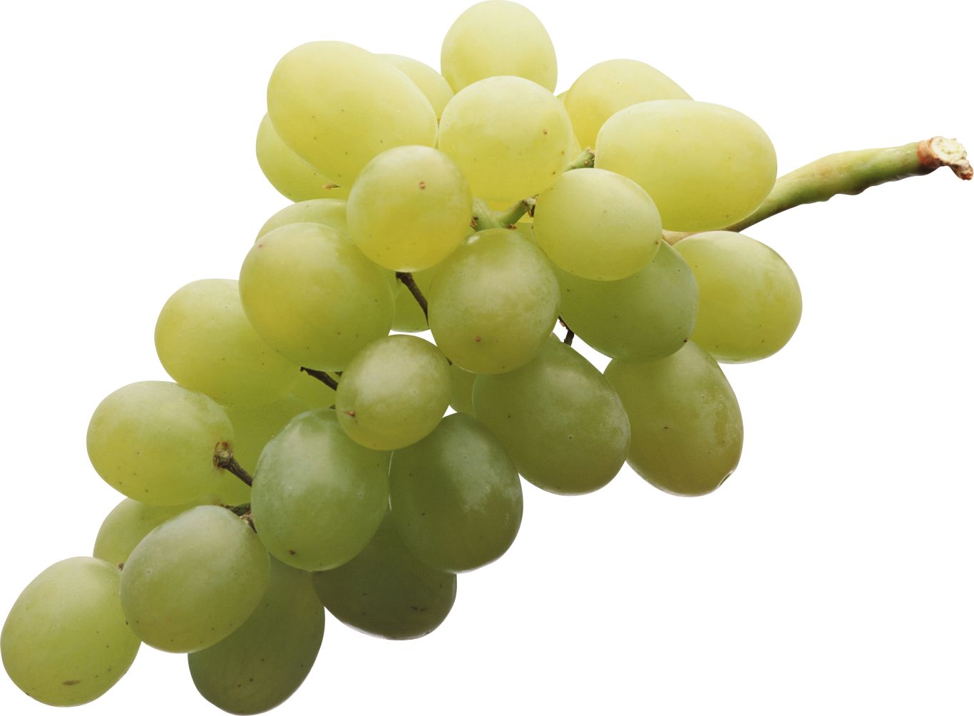 Green grape PNG image    图片编号:2976