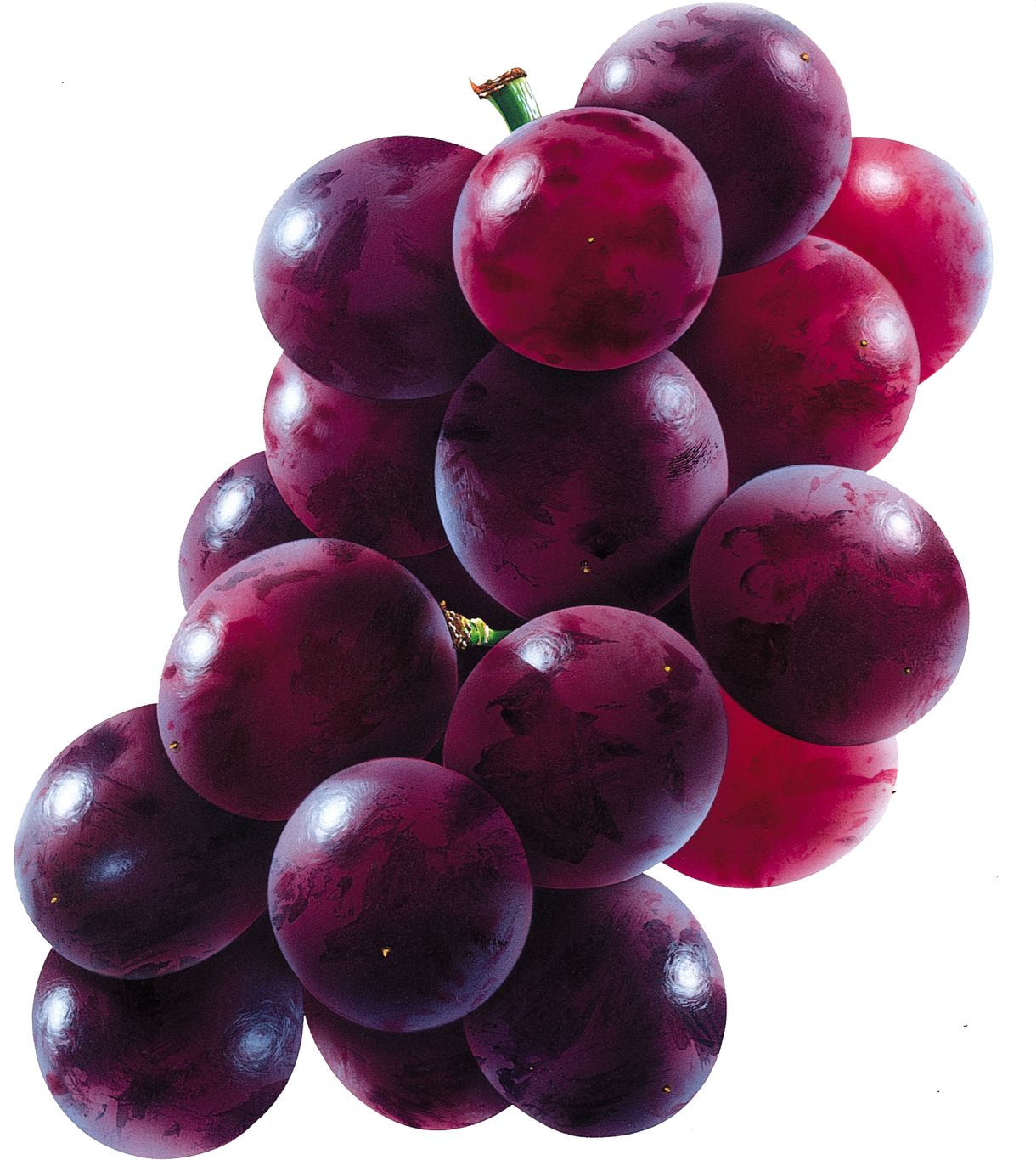 Red grape PNG image    图片编号:2979