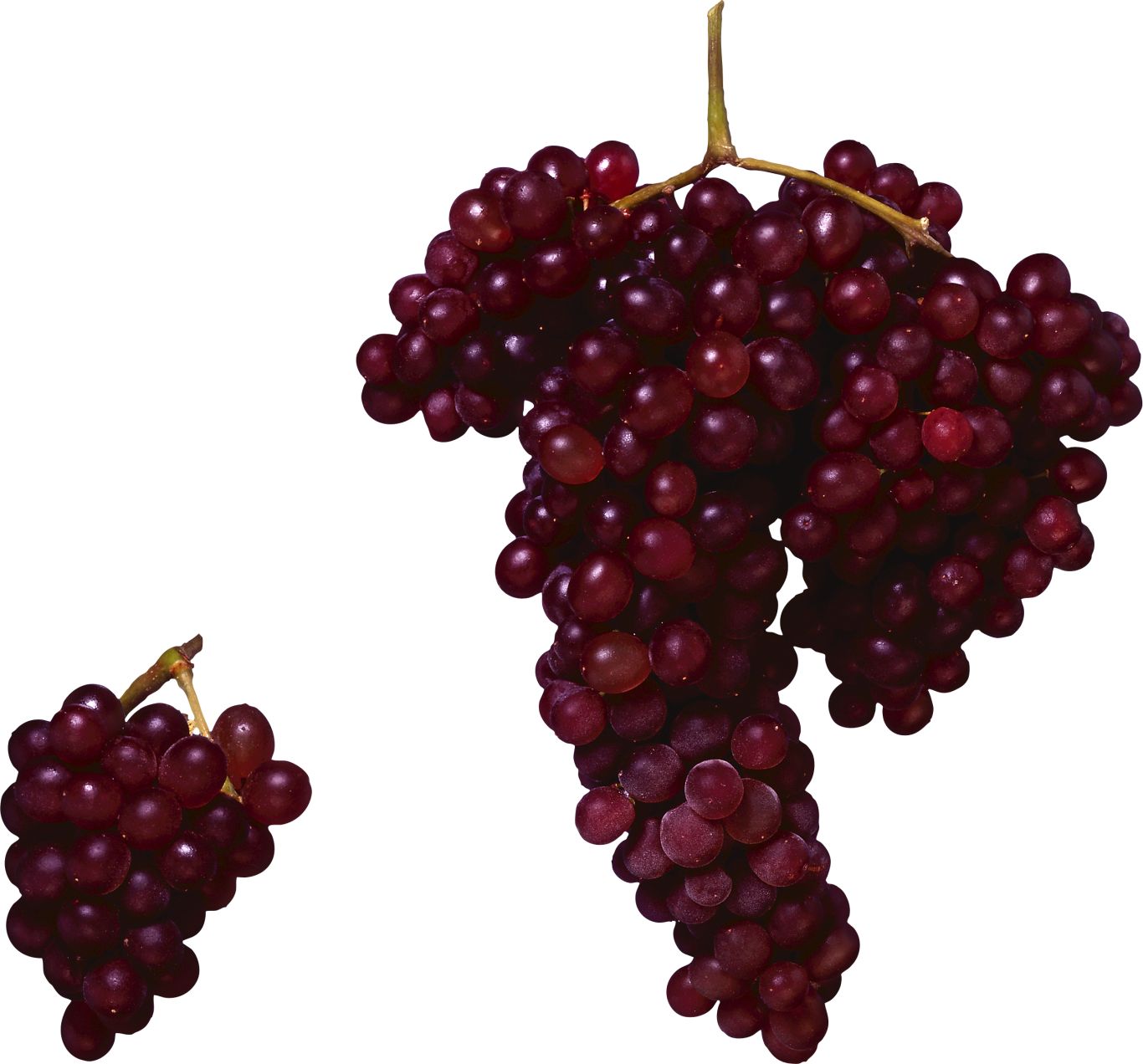 Red grape PNG image    图片编号:2984
