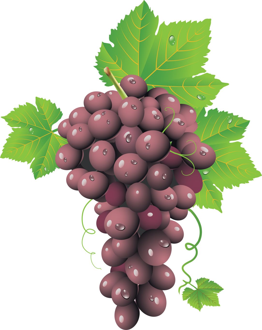 Red grape PNG image    图片编号:2987