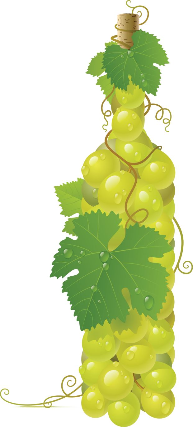Green grape PNG image    图片编号:2990