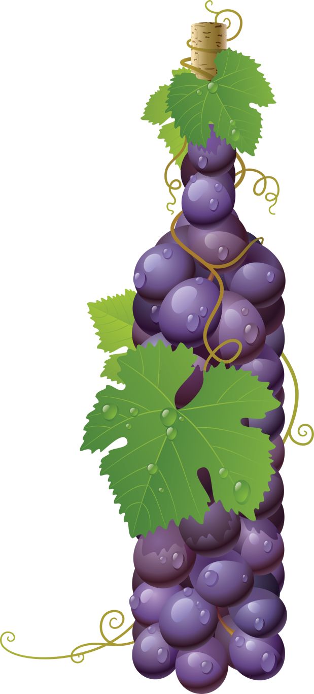 Grape PNG image    图片编号:2991