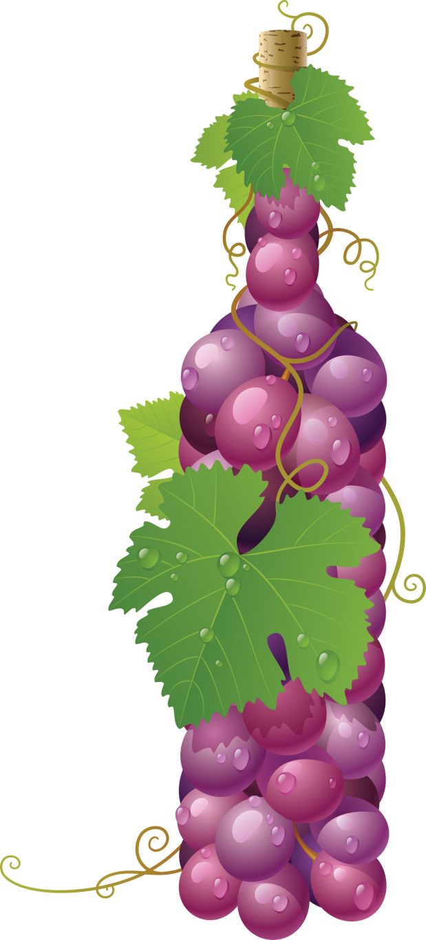 Red grape PNG image    图片编号:2992