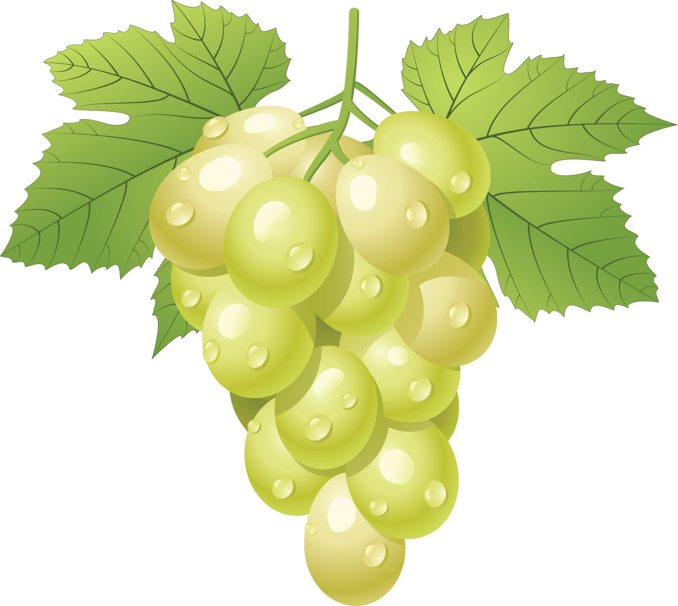 Green grape PNG image    图片编号:2993