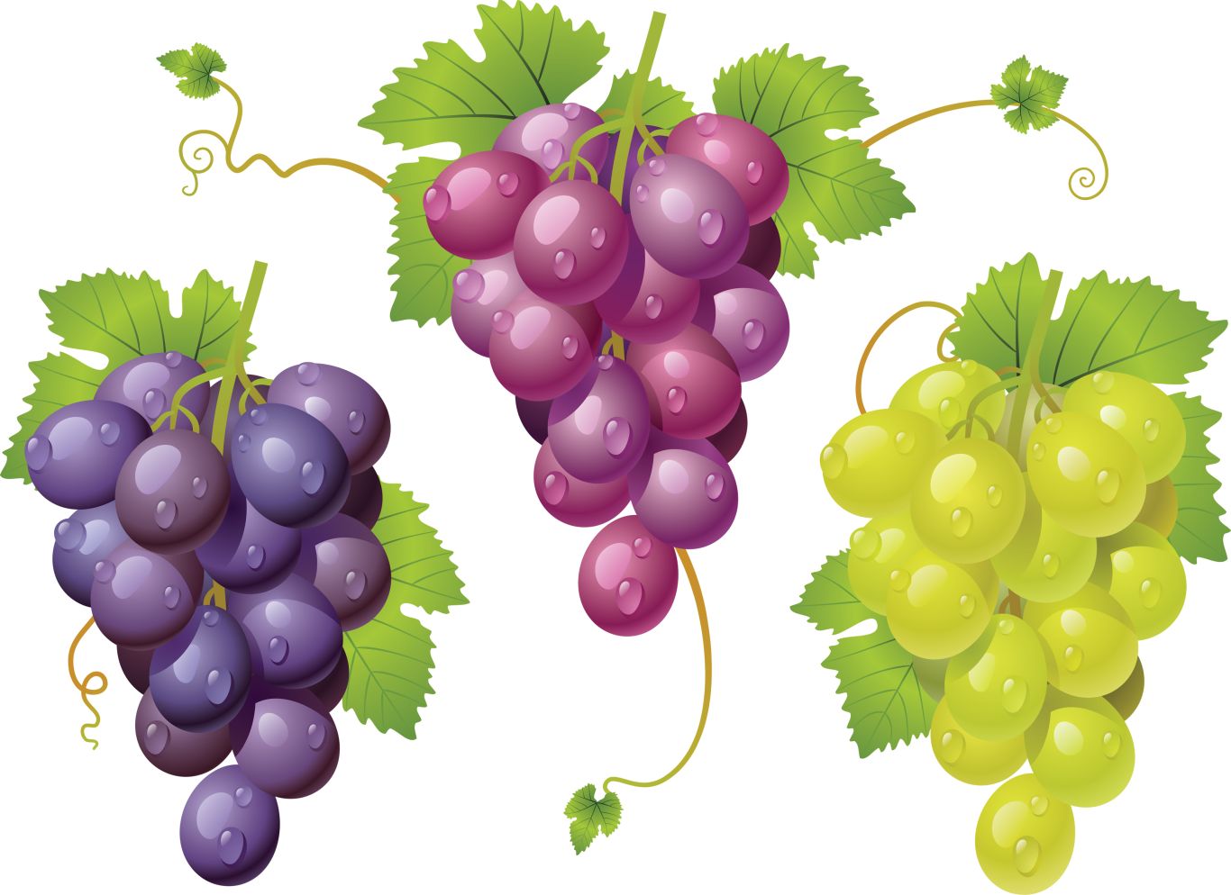 Grape PNG image    图片编号:2994