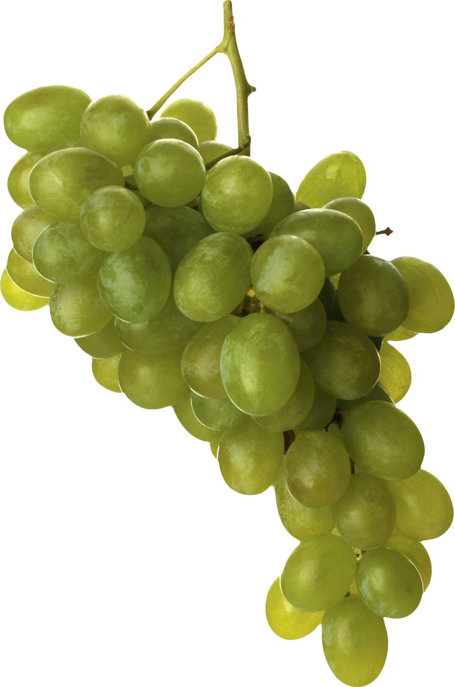 Green grape PNG image    图片编号:2996