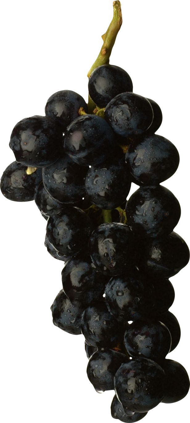 Black grape PNG image    图片编号:2997