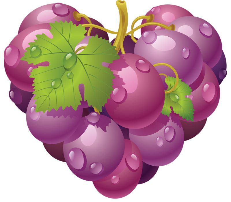 Grape PNG image download, free picture    图片编号:519