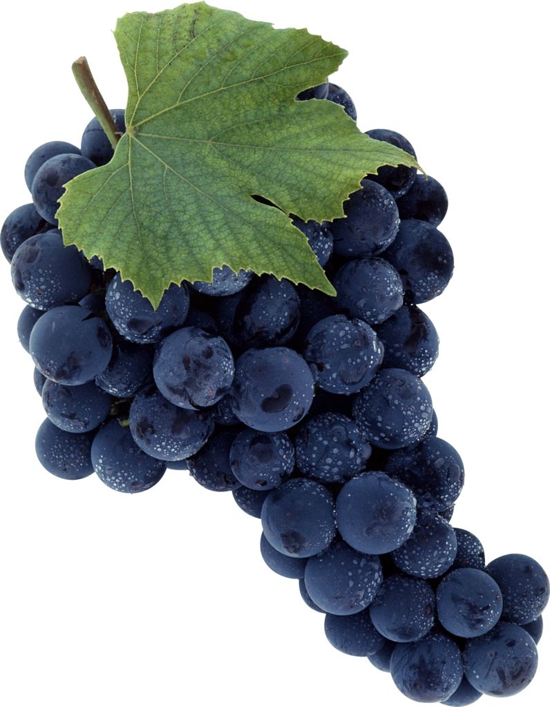 Grape PNG image download, free picture    图片编号:520