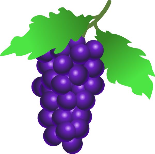 Grape PNG image download, free picture    图片编号:532