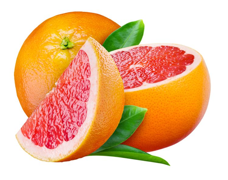 Grapefruit PNG    图片编号:15239