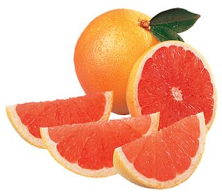 Grapefruit PNG    图片编号:15240