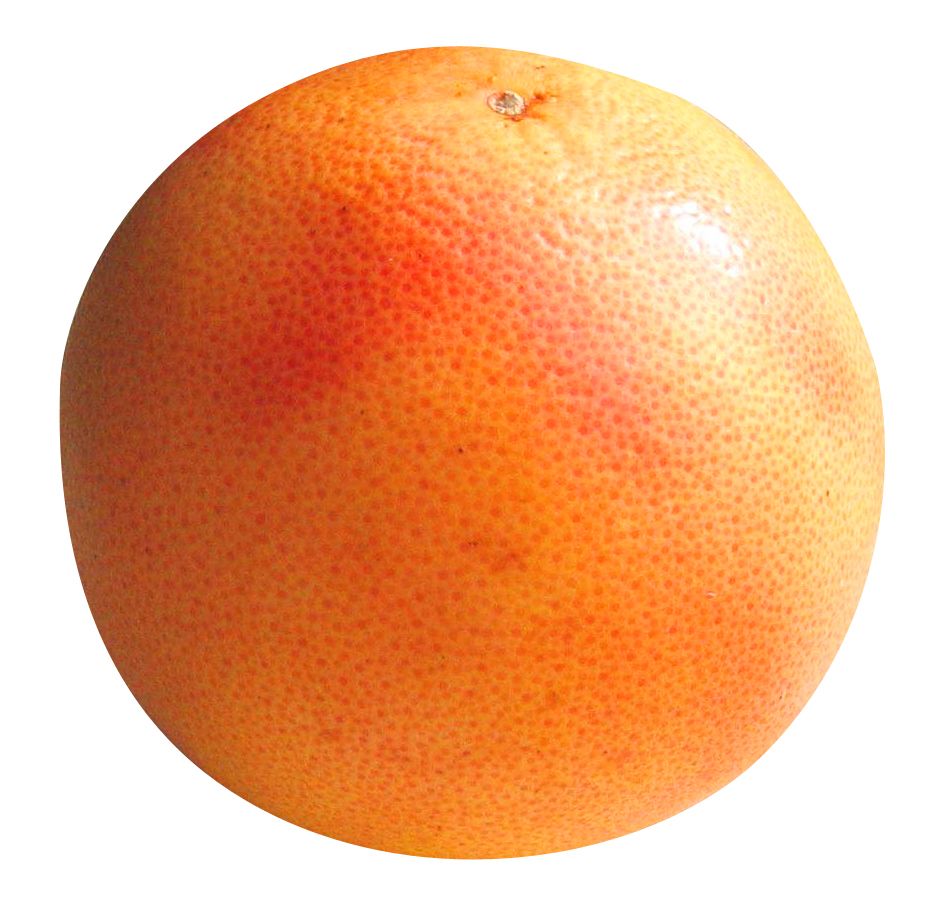 Grapefruit PNG    图片编号:15247