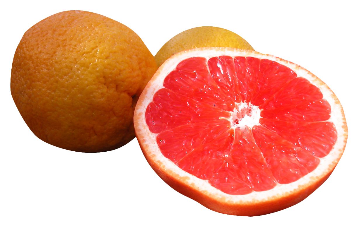Grapefruit PNG    图片编号:15248