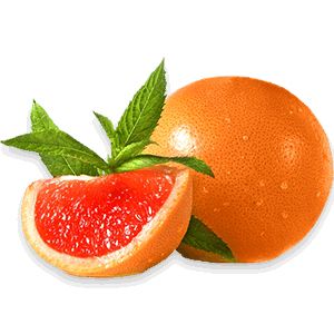 Grapefruit PNG    图片编号:15256