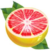 Grapefruit PNG    图片编号:15257