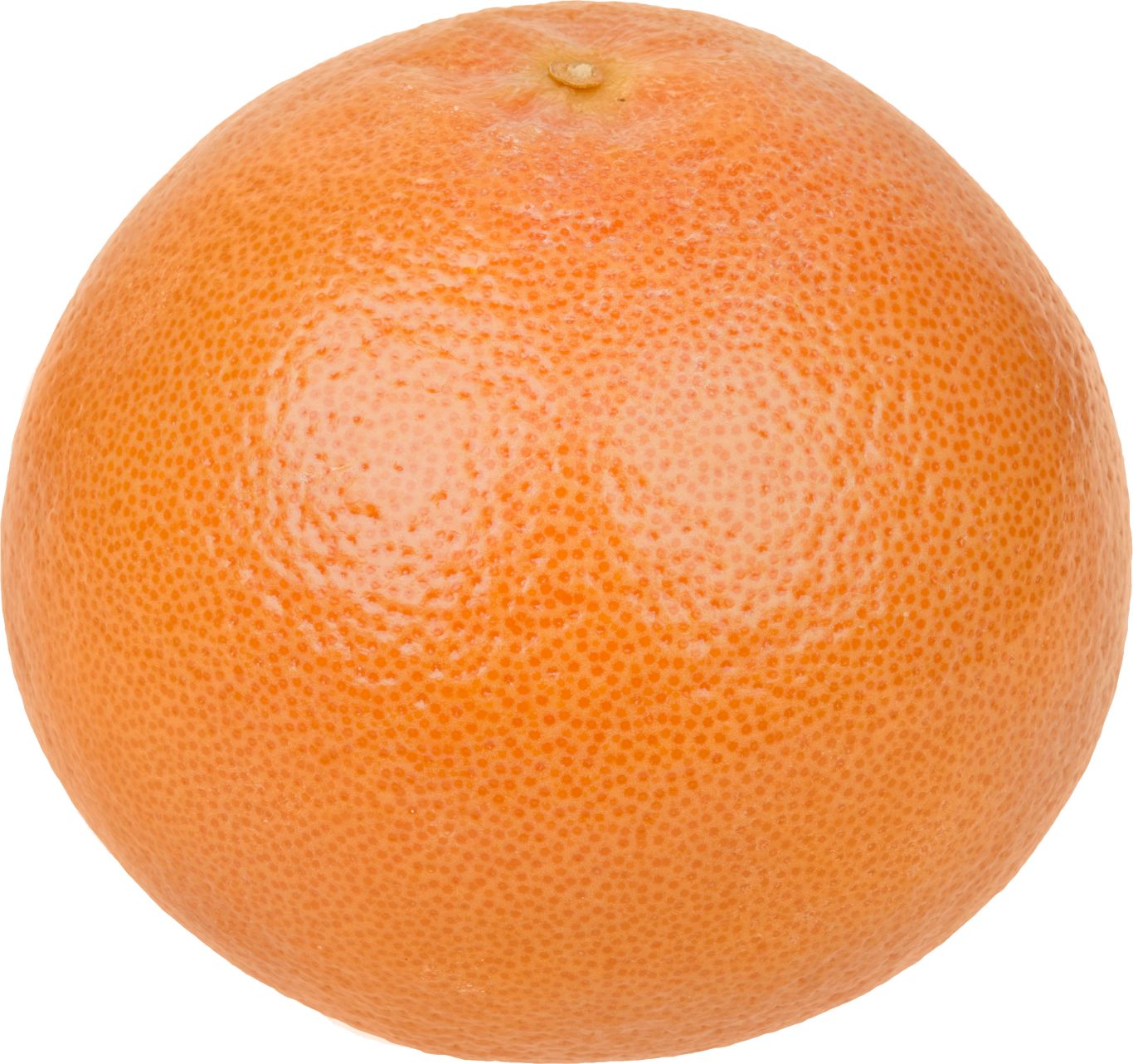 Grapefruit PNG    图片编号:15264