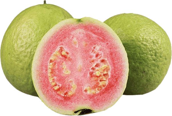 Guava PNG    图片编号:73122