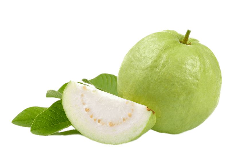 Guava PNG    图片编号:73136
