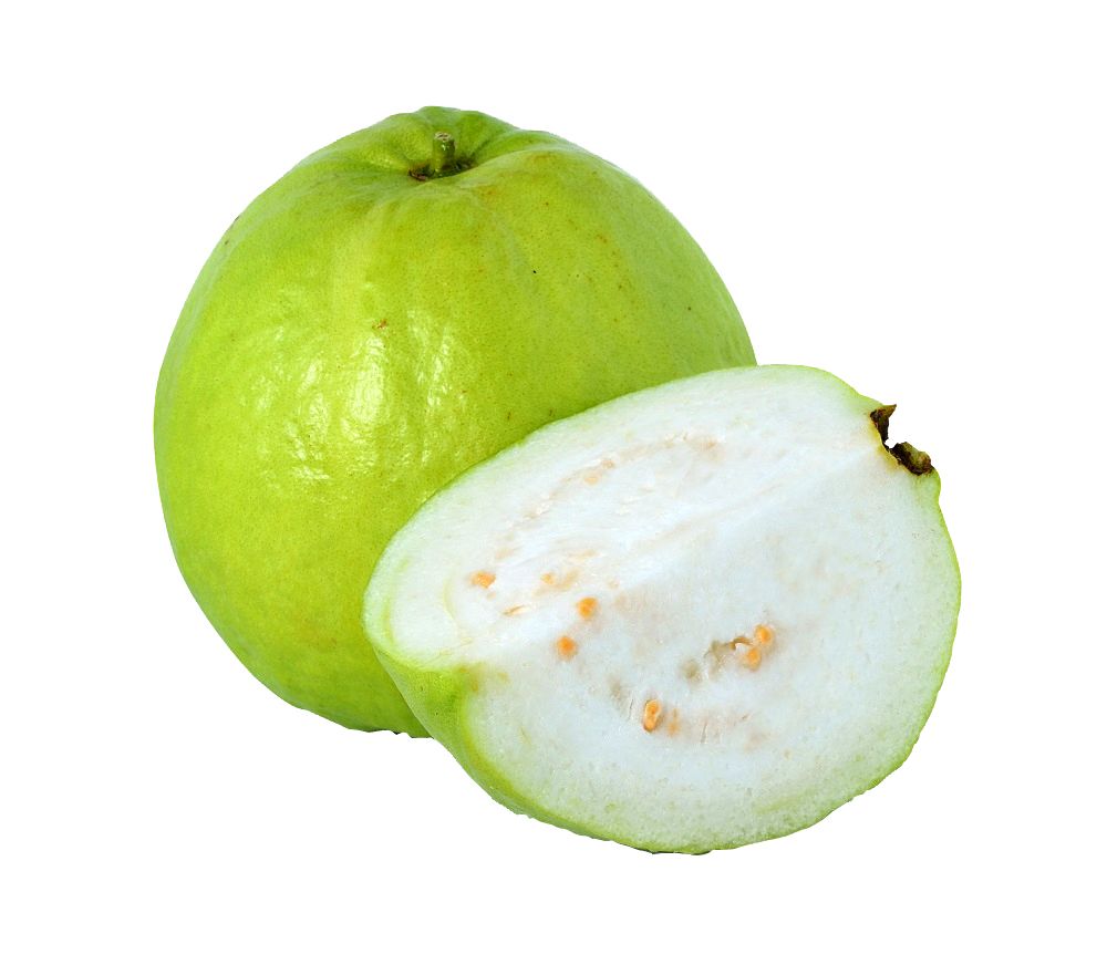 Guava PNG    图片编号:73137