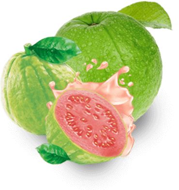 Guava PNG    图片编号:73138