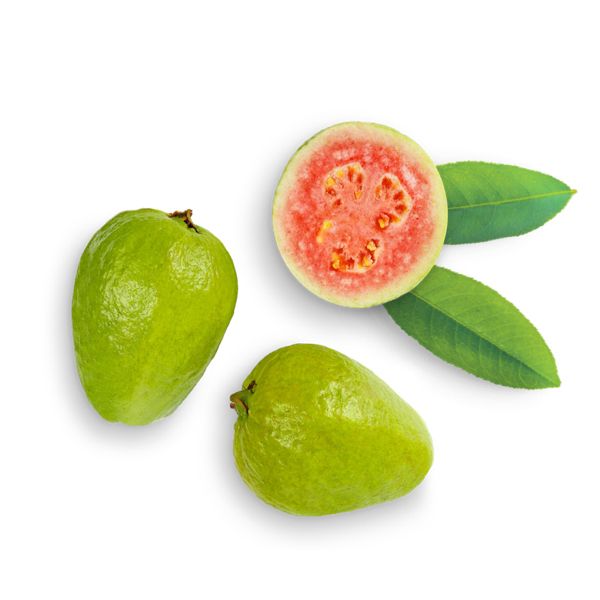 Guava PNG    图片编号:73144