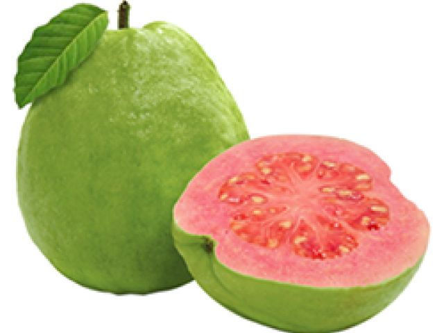 Guava PNG    图片编号:73146