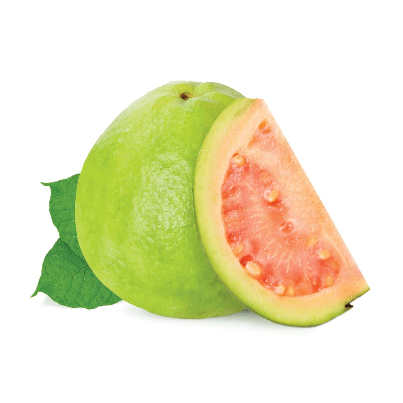Guava PNG    图片编号:73150