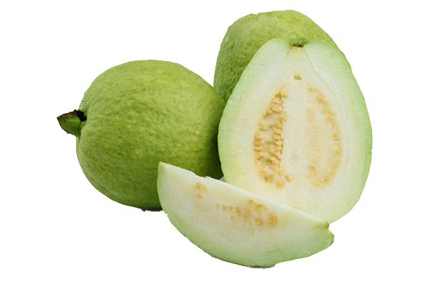 Guava PNG    图片编号:73124