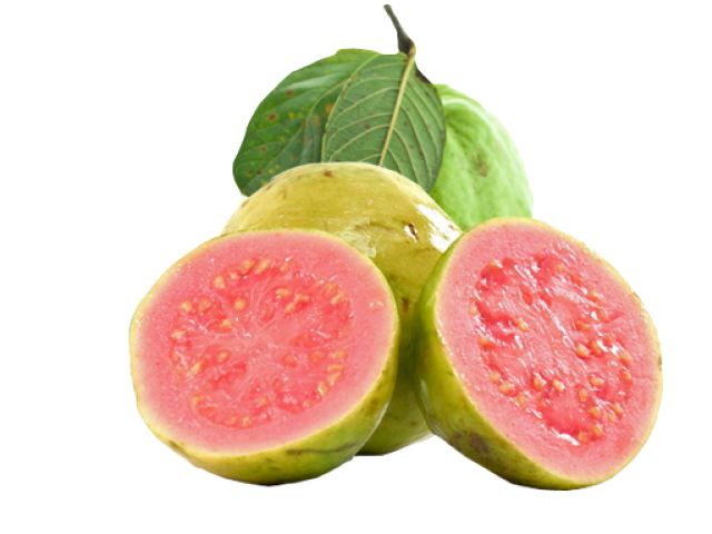 Guava PNG    图片编号:73155
