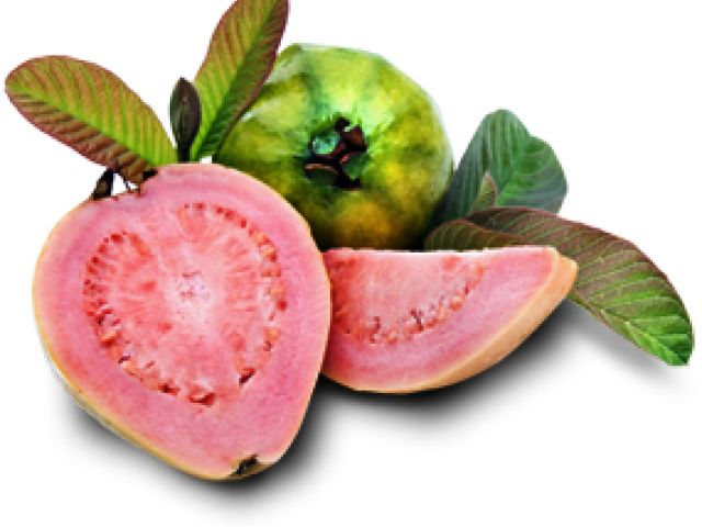 Guava PNG    图片编号:73156