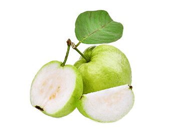 Guava PNG    图片编号:73160