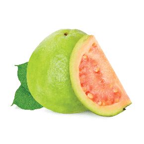Guava PNG    图片编号:73161