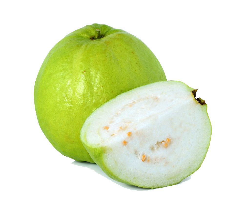 Guava PNG    图片编号:73165