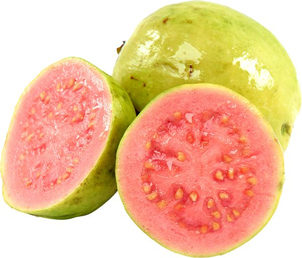 Guava PNG    图片编号:73168