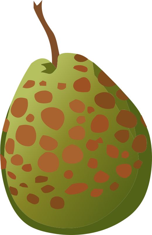 Guava PNG    图片编号:73169