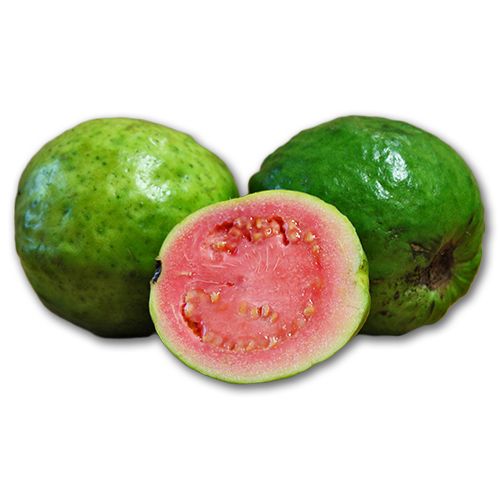 Guava PNG    图片编号:73170