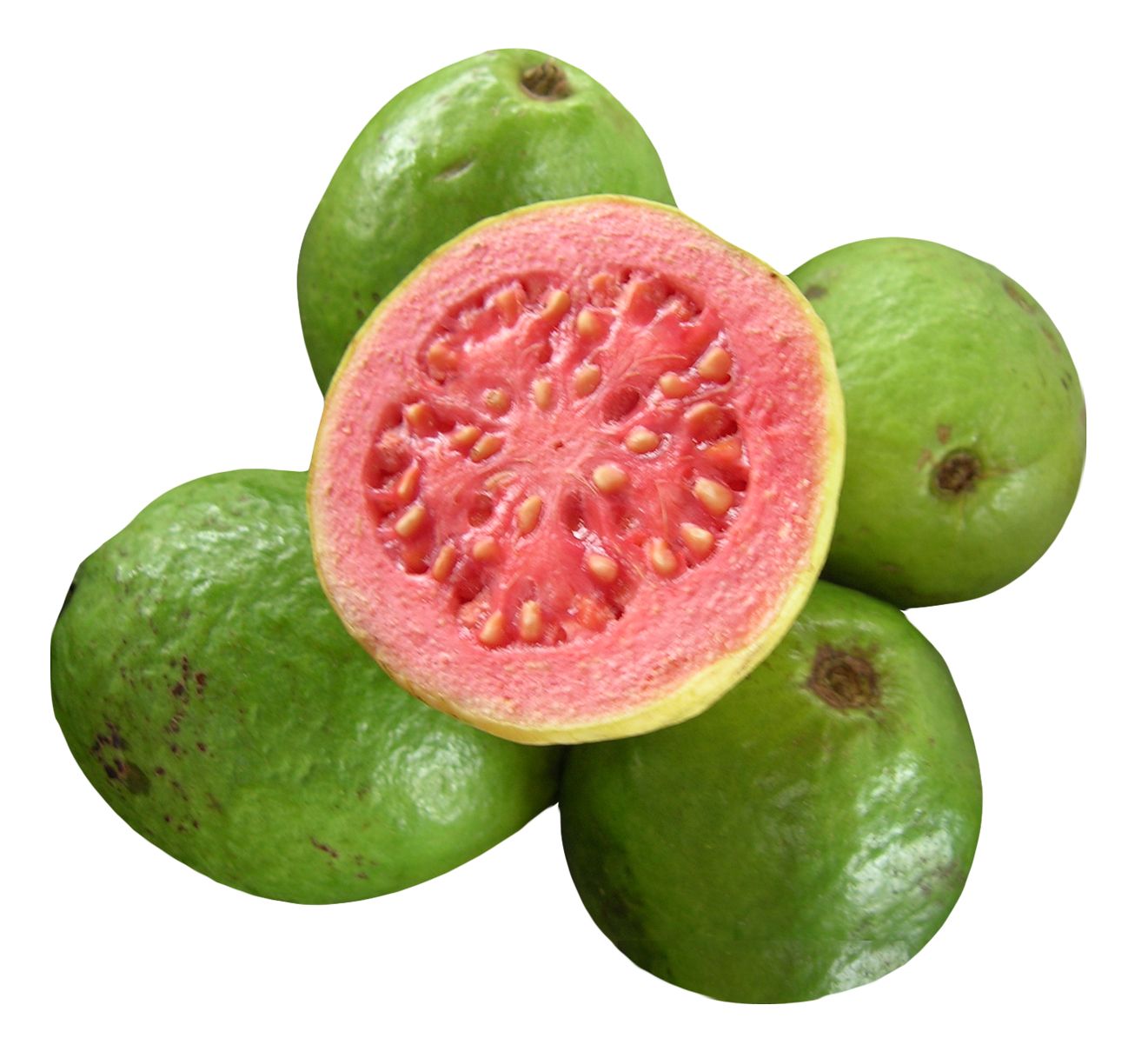 Guava PNG    图片编号:73173